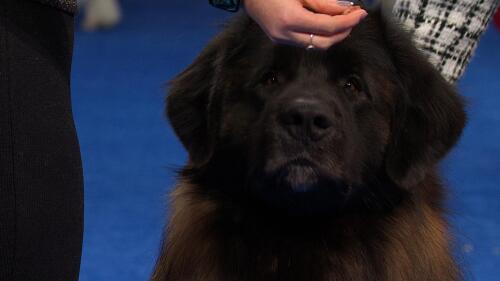 欧洲杯音乐记忆：历届主题曲精选回顾